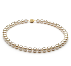 Collar de perlas Perla de Agua Dulce de calidad AAAA de 8 a 8.5mm en color Blanco