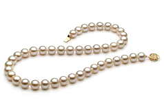 Collar de perlas Perla de Agua Dulce de calidad AAAA de 8 a 8.5mm en color Blanco