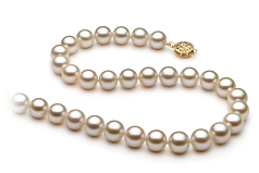 Collar de perlas Perla de Agua Dulce de calidad AAAA de 8 a 8.5mm en color Blanco