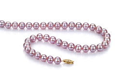 Collar de perlas Perla de Agua Dulce de calidad AA de 7 a 8mm en color Lavanda