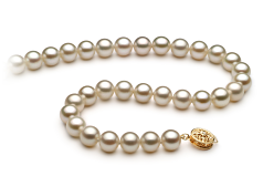 Collar de perlas Perla de Agua Dulce de calidad AAAA de 7 a 8mm en color Blanco