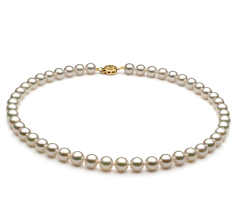 Collar de perlas Perla Akoya Japonesa de calidad AAA de 7.5 a 8mm en color Blanco