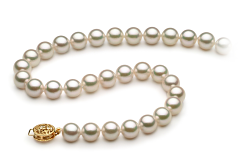Collar de perlas Perla Akoya Japonesa de calidad AAA de 7.5 a 8mm en color Blanco