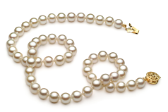 Collar de perlas Perla Akoya Japonesa de calidad AA de 6 a 7mm en color Blanco