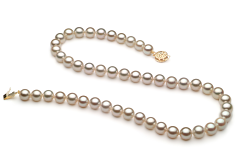 Collar de perlas Perla Akoya Japonesa de calidad AA de 7.5 a 8mm en color Blanco