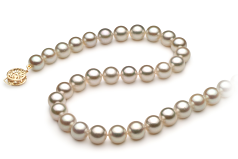 Collar de perlas Perla Akoya Japonesa de calidad AA de 7.5 a 8mm en color Blanco