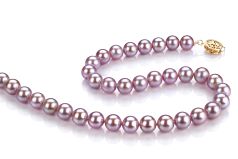 Collar de perlas Perla de Agua Dulce de calidad AAAA de 7 a 8mm en color Lavanda