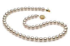 Collar de perlas Perla Akoya Japonesa de calidad AAA de 6.5 a 7mm en color Blanco