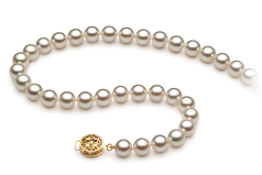 Collar de perlas Perla Akoya Japonesa de calidad AAA de 6.5 a 7mm en color Blanco