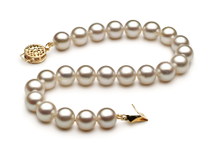 Pulsera de perlas Perla Akoya Japonesa de calidad AAA de 7.5 a 8mm en color Blanco
