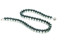 Collar de perlas Perla Akoya Japonesa de calidad AA de 7.5 a 8mm en color Negro