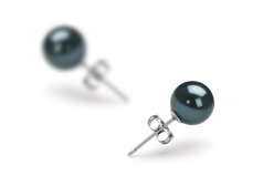 Par de pendientes de perlas Perla Akoya Japonesa de calidad AAA de 6 a 7mm en color Negro