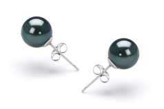 Par de pendientes de perlas Perla Akoya Japonesa de calidad AAA de 7.5 a 8mm en color Negro
