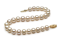 Pulsera de perlas Perla de Agua Dulce de calidad AA de 6 a 7mm en color Blanco