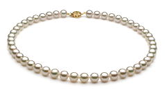 Conjunto de perlas Perla Akoya Japonesa de calidad AAA de 7.5 a 8mm en color Blanco