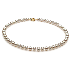 Conjunto de perlas Perla Akoya Japonesa de calidad AAA de 6.5 a 7mm en color Blanco