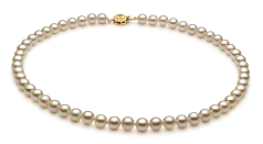 Conjunto de perlas Perla Akoya Japonesa de calidad AA de 6.5 a 7mm en color Blanco