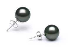 Par de pendientes de perlas Perla Tahití de calidad AAA de 10 a 11mm en color Negro