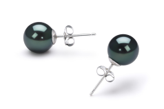 Conjunto de perlas Perla Akoya Japonesa de calidad AA de 7.5 a 8mm en color Negro