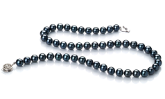 Conjunto de perlas Perla Akoya Japonesa de calidad AAA de 7 a 7.5mm en color Negro