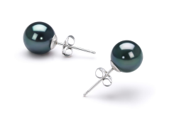 Conjunto de perlas Perla Akoya Japonesa de calidad AAA de 7 a 7.5mm en color Negro