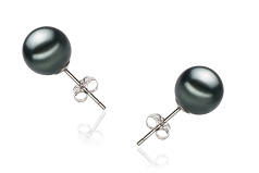 Par de pendientes de perlas Perla Tahití de calidad AAA de 9 a 10mm en color Negro