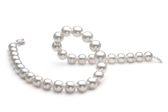 Collar de perlas Mar del Sur de calidad AAA de 12 a 15mm en color Blanco