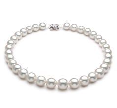 Collar de perlas Mar del Sur de calidad AAA de 12 a 16mm en color Blanco