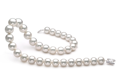 Collar de perlas Mar del Sur de calidad AAA de 12 a 16mm en color Blanco