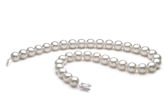 Collar de perlas Mar del Sur de calidad AAA de 12 a 13mm en color Blanco
