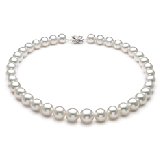 Collar de perlas Mar del Sur de calidad AAA+ de 11 a 14mm en color Blanco