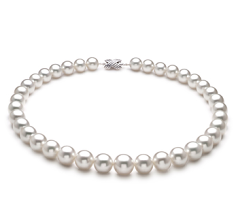 Collar de perlas Mar del Sur de calidad AAA+ de 10 a 14mm en color Blanco