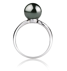 Anillo de perlas Perla Tahití de calidad AAA de 8 a 9mm en color Negro
