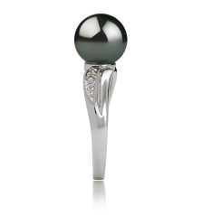 Anillo de perlas Perla Tahití de calidad AAA de 8 a 9mm en color Negro