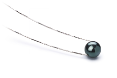 Colgante de perlas Perla Akoya Japonesa de calidad AAA de 7 a 8mm en color Negro