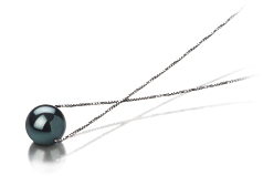 Colgante de perlas Perla Akoya Japonesa de calidad AAA de 7 a 8mm en color Negro