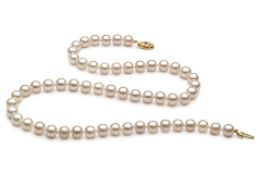 Collar de perlas Akoya China de calidad AA+ de 6 a 7mm en color Blanco