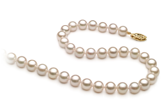 Collar de perlas Akoya China de calidad AA+ de 6 a 7mm en color Blanco