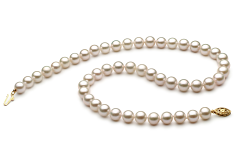 Collar de perlas Akoya China de calidad AA+ de 7 a 8mm en color Blanco