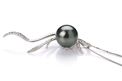 Colgante de perlas Perla Tahití de calidad AAA de 10 a 10.5mm en color Negro
