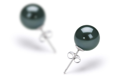Par de pendientes de perlas Perla Akoya Japonesa de calidad AA de 8 a 9mm en color Negro