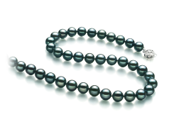 Collar de perlas Perla Akoya Japonesa de calidad AA de 8 a 8.5mm en color Negro