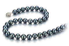 Collar de perlas Perla Akoya Japonesa de calidad AAA de 8 a 8.5mm en color Negro