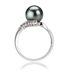 Anillo de perlas Perla Tahití de calidad AAA de 8 a 9mm en color Negro