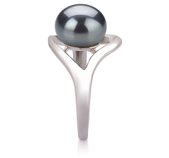 Anillo de perlas Perla de Agua Dulce de calidad AA de 9 a 10mm en color Negro