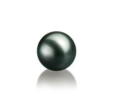 Perla Suelta Perla Tahití de calidad AAA de 8 a 9mm en color Negro
