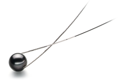 Colgante de perlas Perla Tahití de calidad AA de 9 a 10mm en color Negro