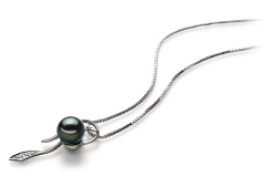 Colgante de perlas Perla Akoya Japonesa de calidad AA de 7 a 8mm en color Negro
