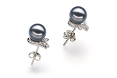 Par de pendientes de perlas Perla Akoya Japonesa de calidad AA de 6 a 7mm en color Negro
