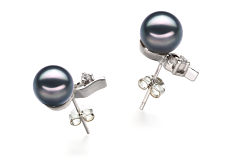 Par de pendientes de perlas Perla Akoya Japonesa de calidad AA de 7 a 8mm en color Negro